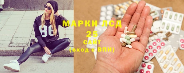 хмурый Верея