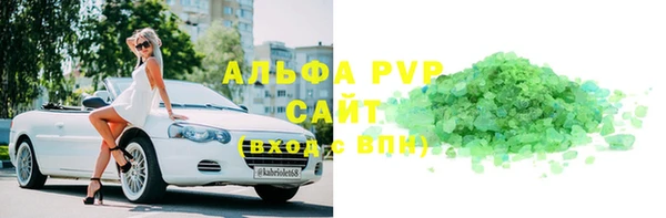 хмурый Верея