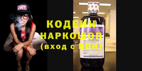 хмурый Верея