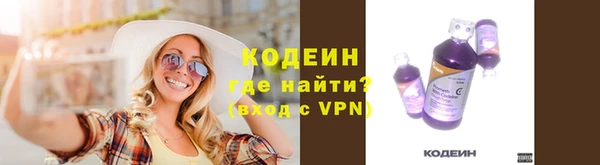 хмурый Верея