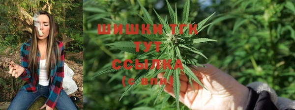 хмурый Верея