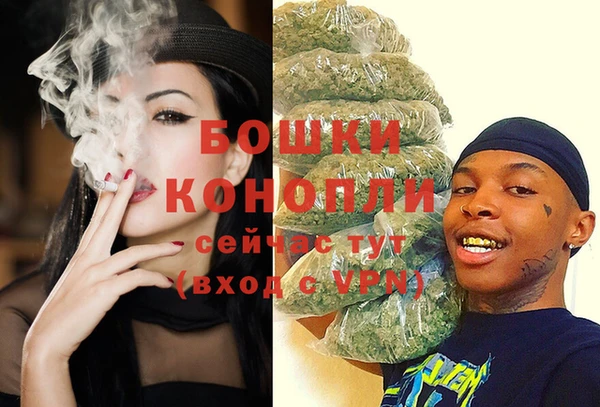 хмурый Верея