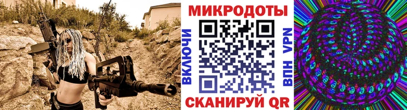 где найти наркотики  Вилючинск  Галлюциногенные грибы Psilocybe 